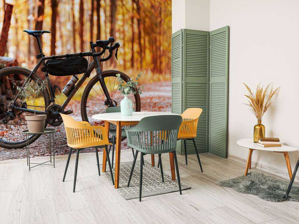 Bike in autumn