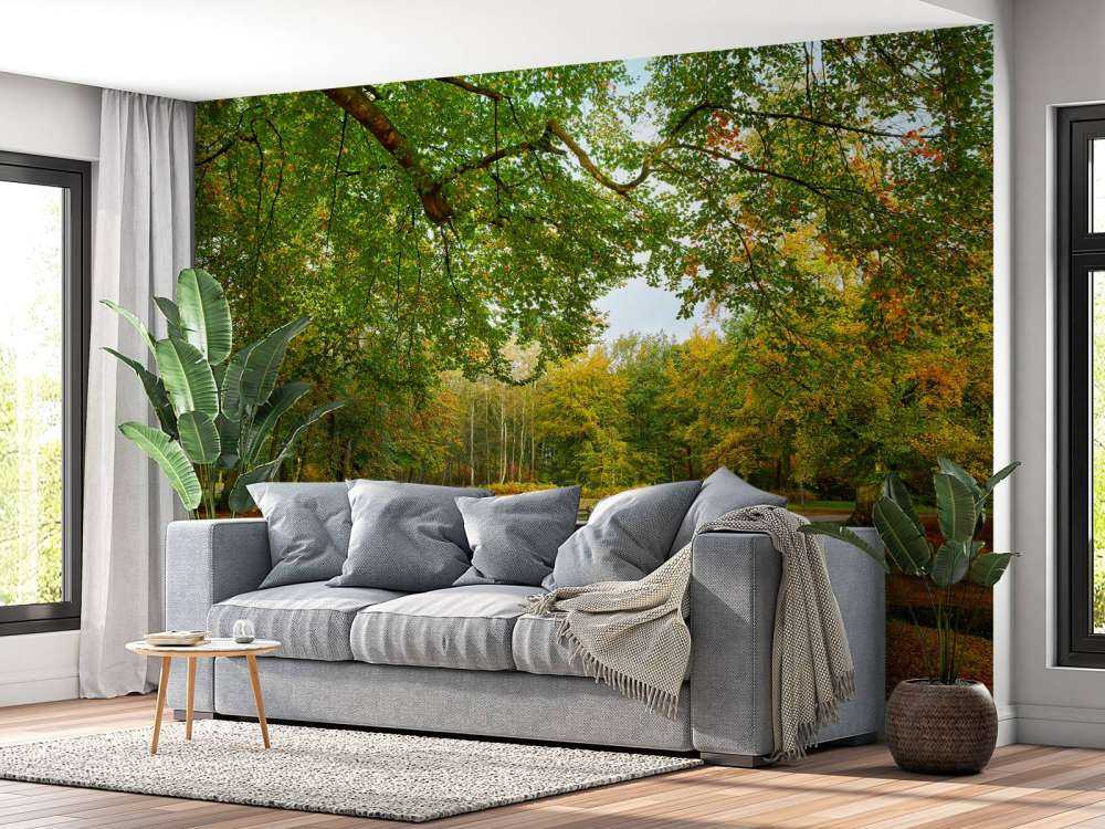 Bridge in the large forest