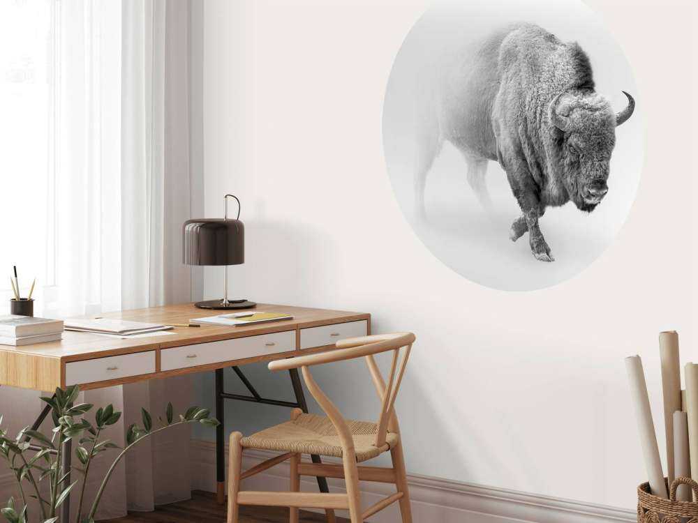 Bison black, white
