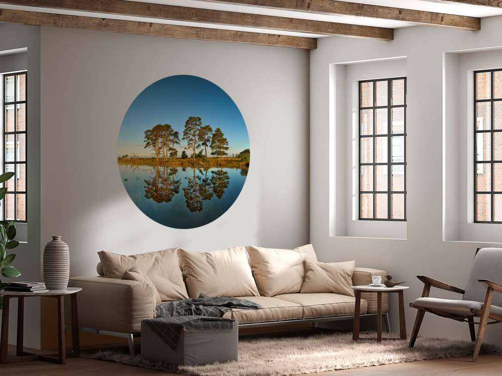 Reflection in forest lake