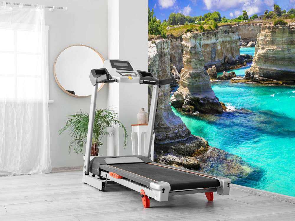 Rock formation on the coast