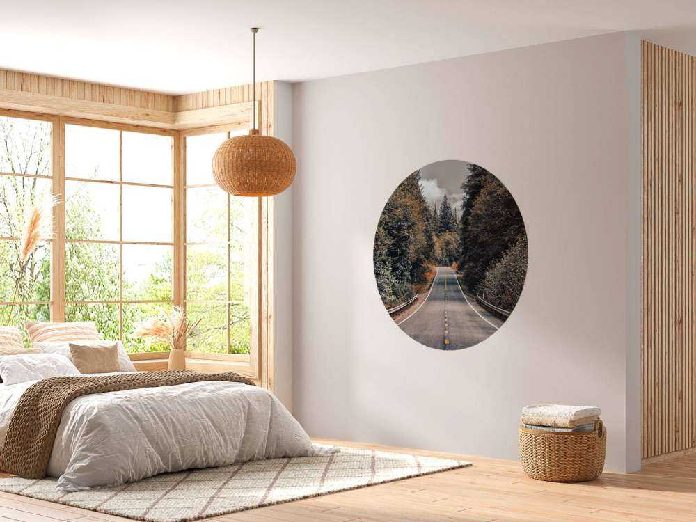 Forest along an American road