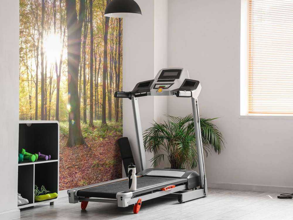 Sunlight through autumn forest