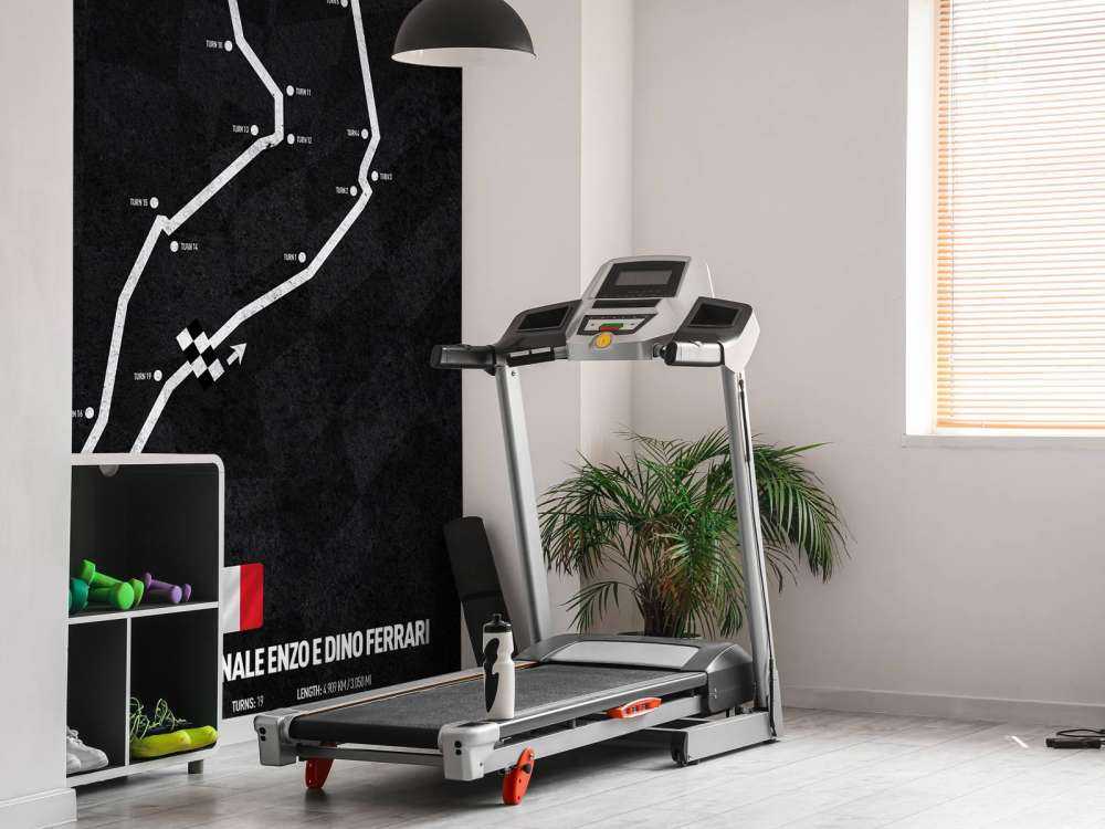 Formule 1 circuit - Imola Italy Circuit - Italy