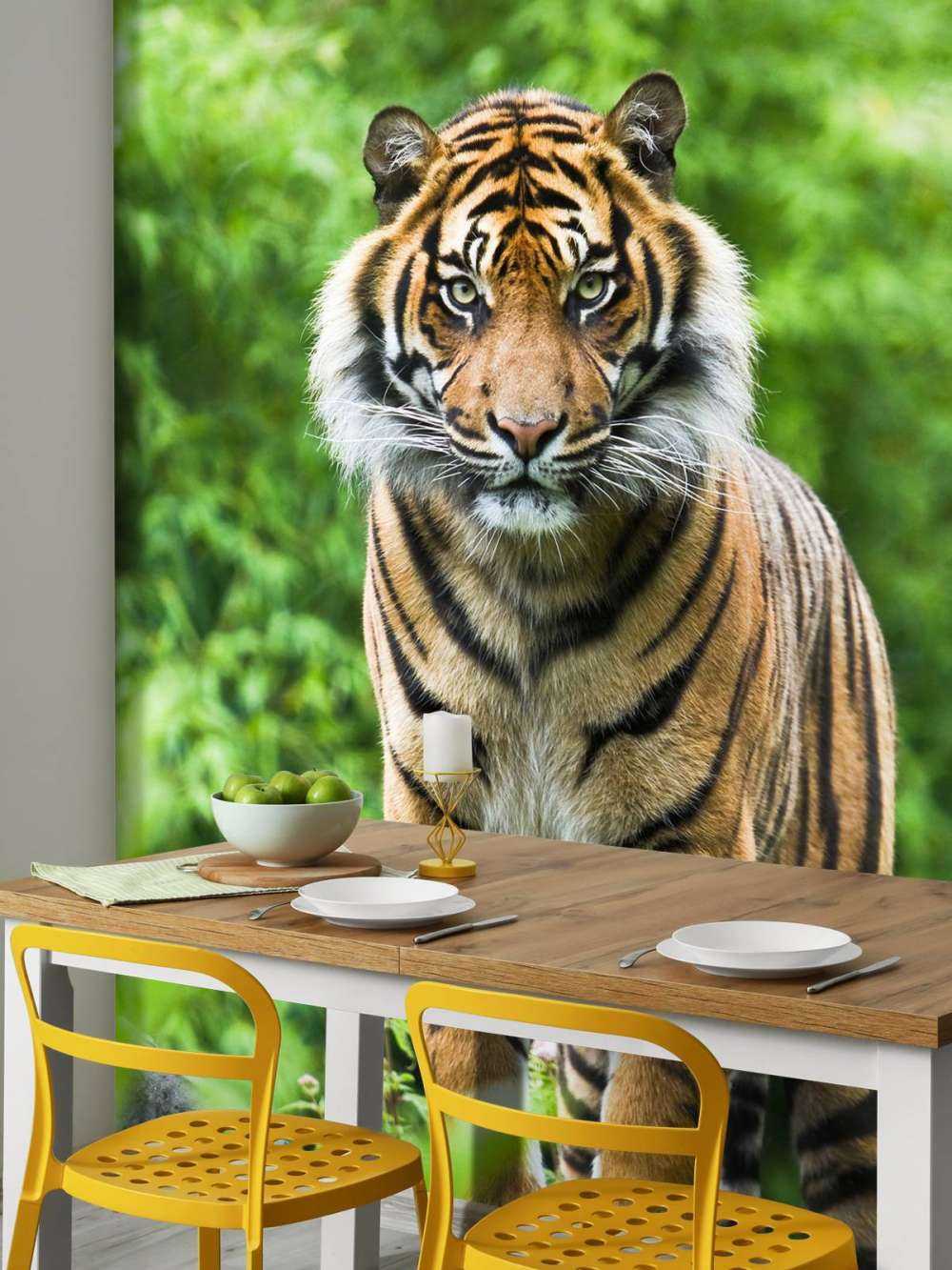 Tiger standing on a stone