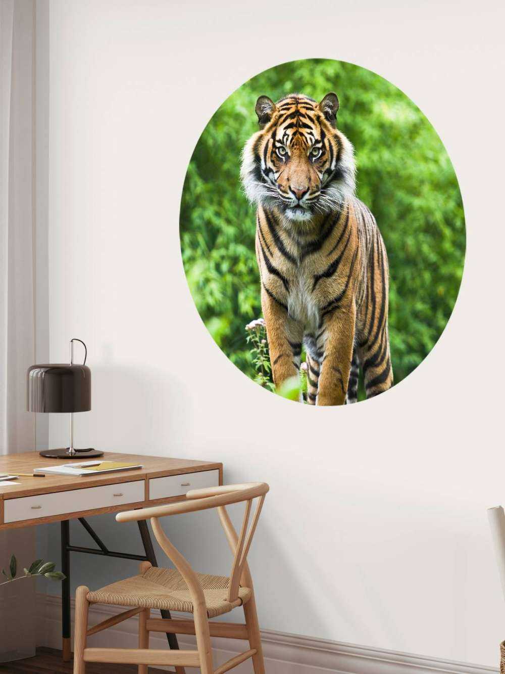 Tiger standing on a stone