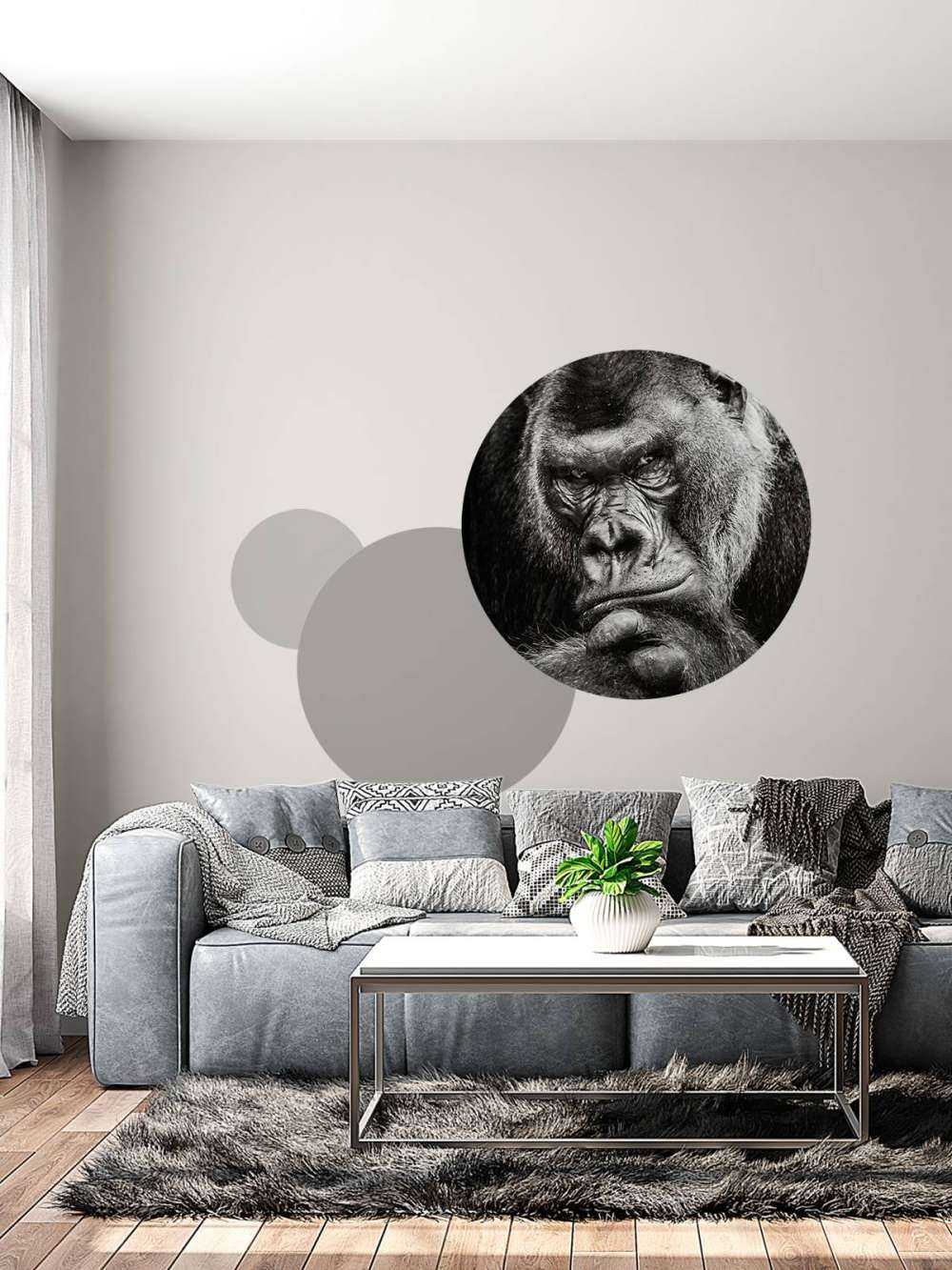 Close-up picture of a gorilla