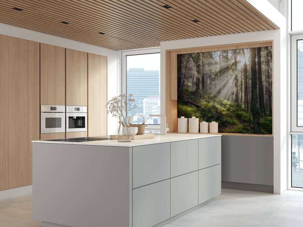 Autumn forest with sunshine