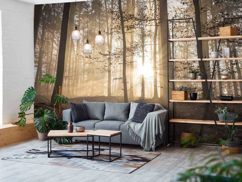 Sunshine in a misty forest