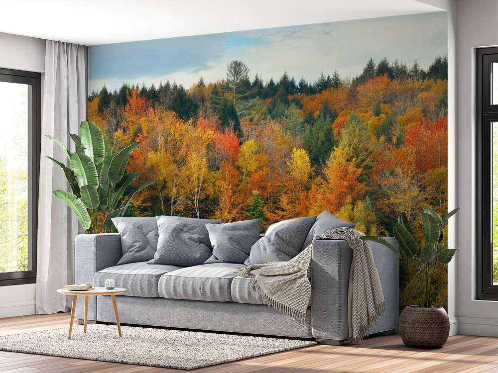 Lake with autumn trees