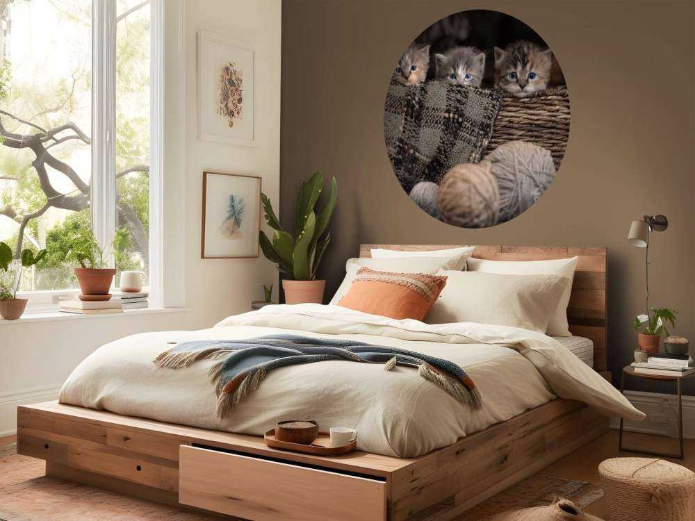 Three kittens in a basket