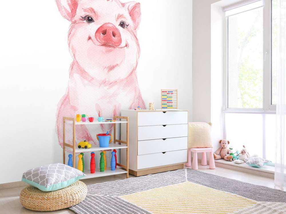 Cute piglet