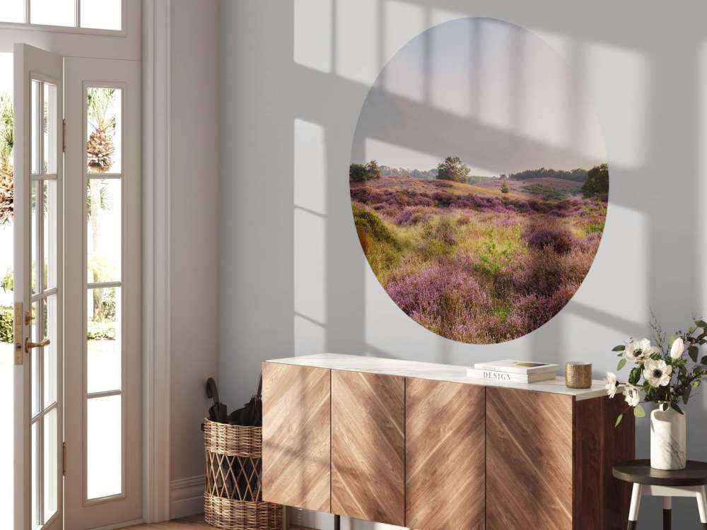 Heathland at sunrise