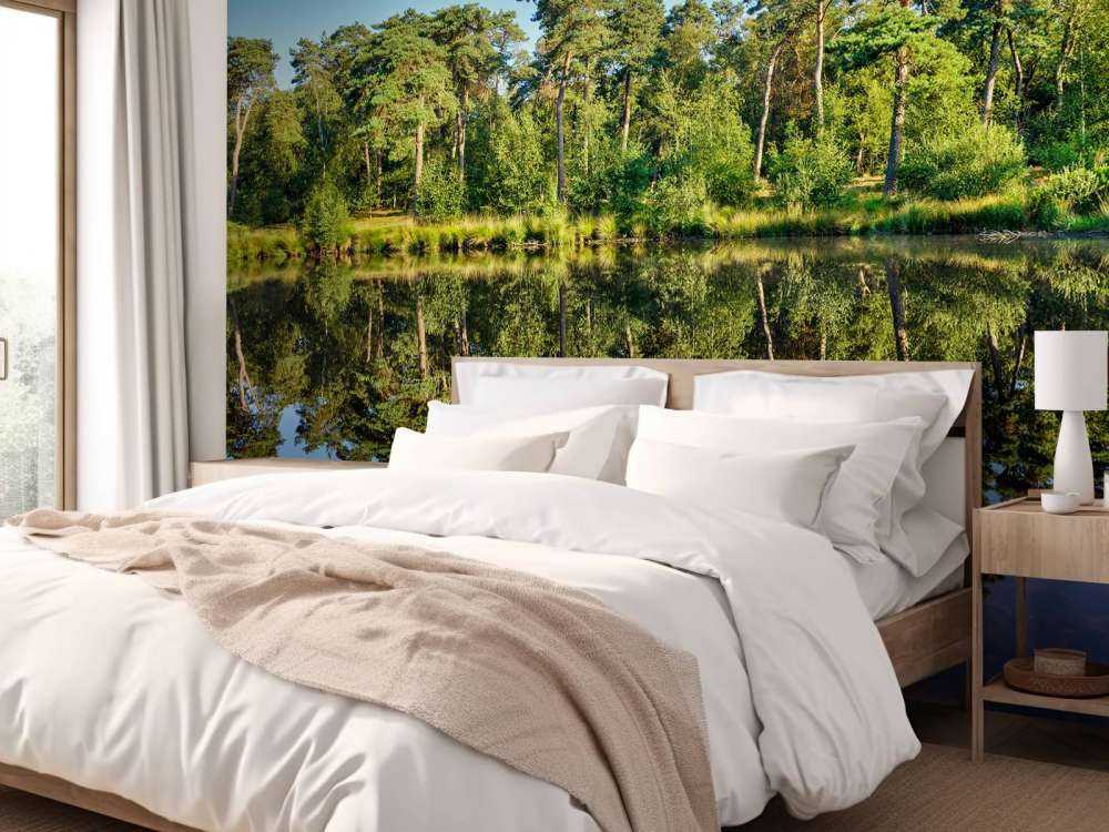 Reflection in bosves