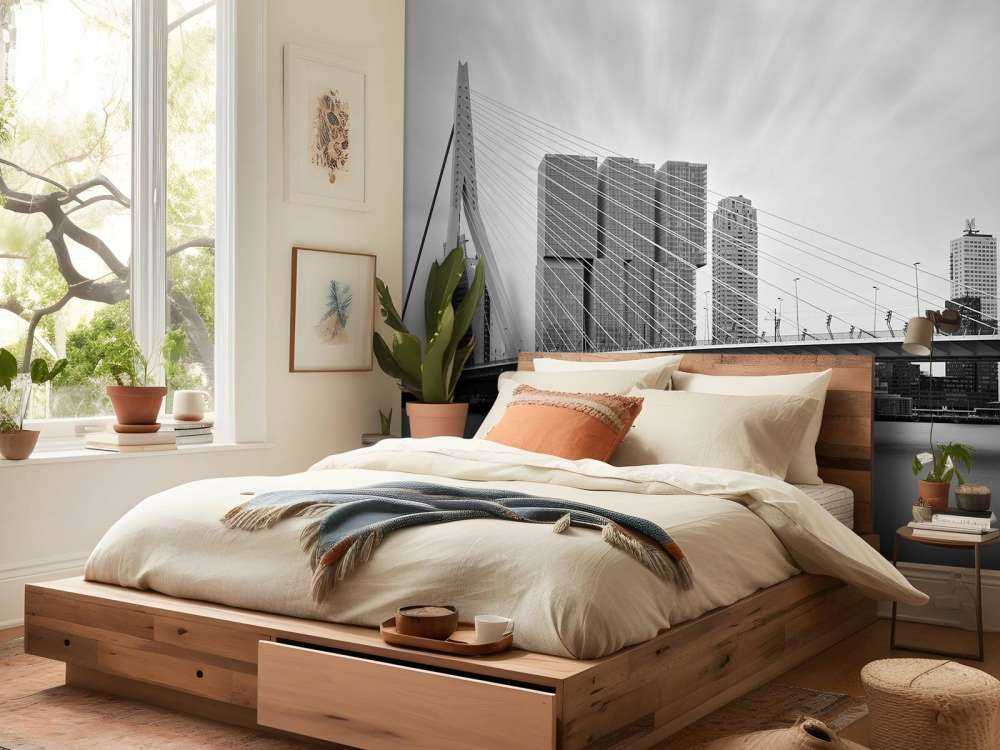 Erasmus bridge black and white 