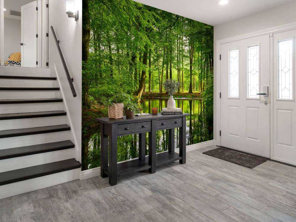 Reflection of trees in water