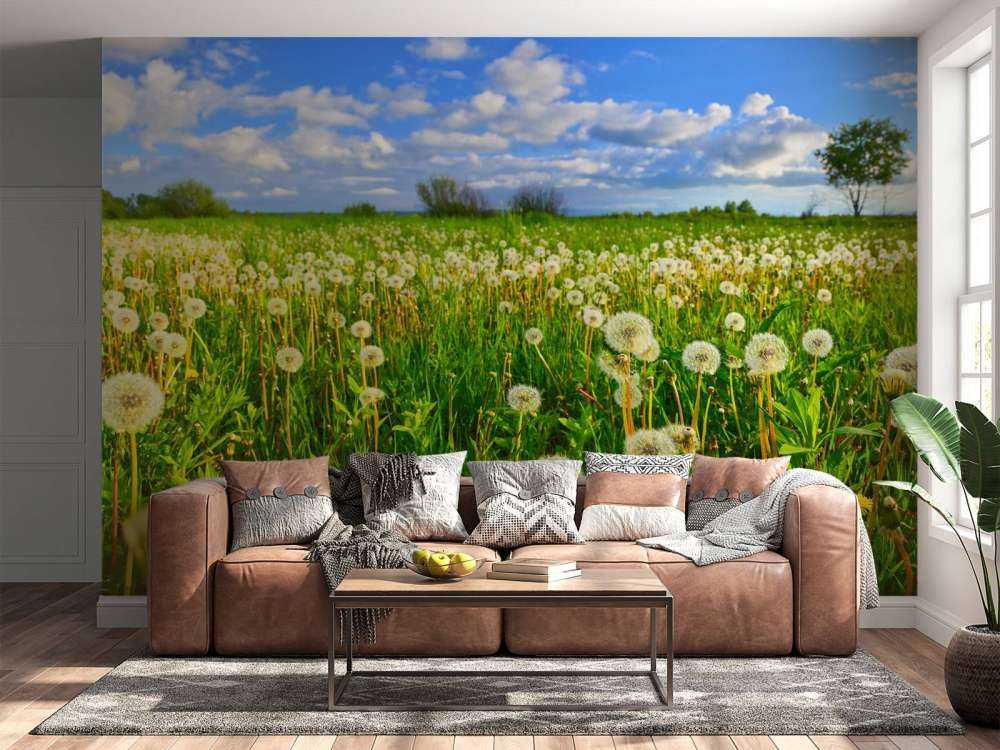 Field of Dandelions