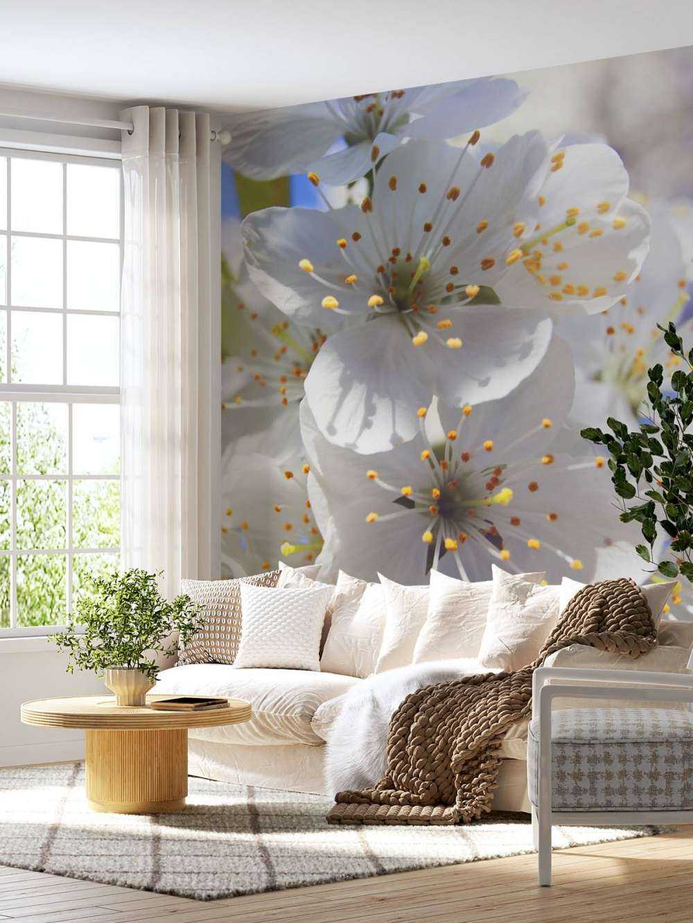 Close-up white blossoms