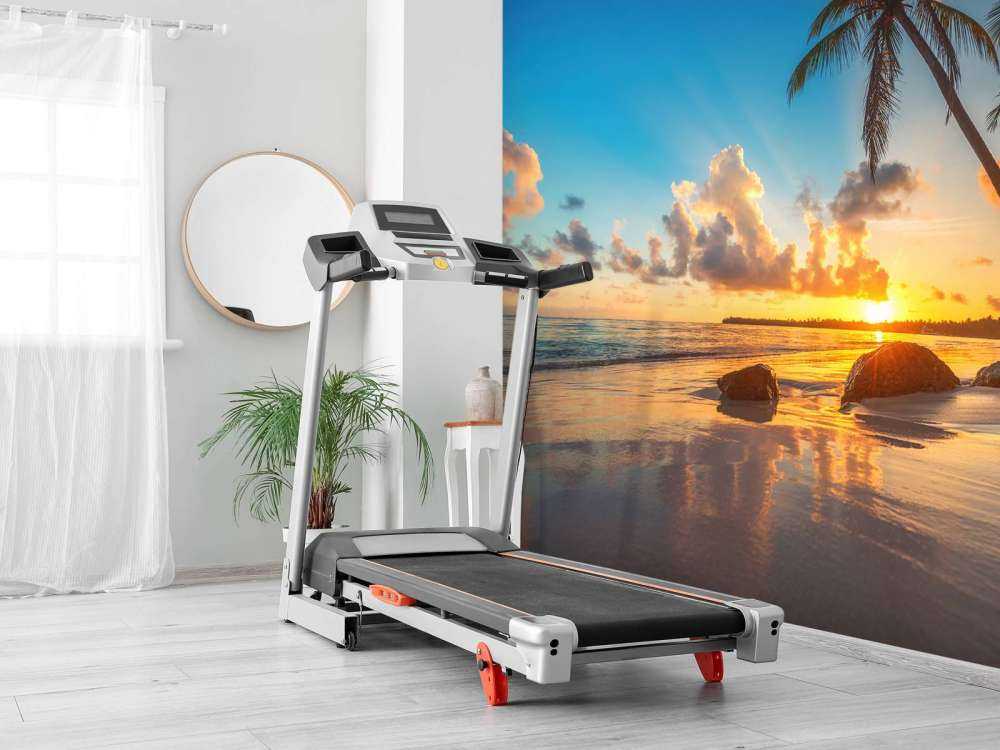 Palm trees at sunset