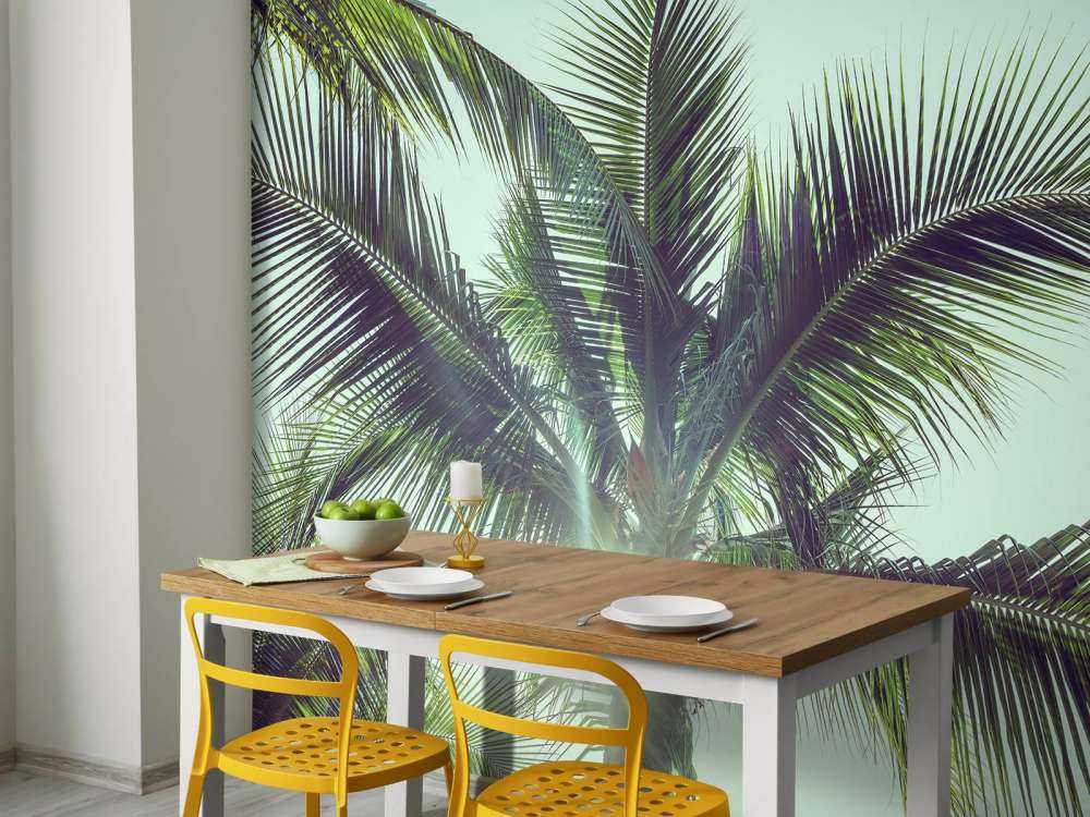 Palm trees in the sun