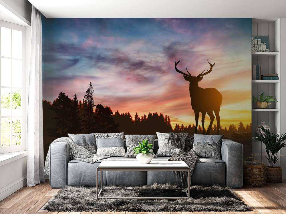 Deer with sunset