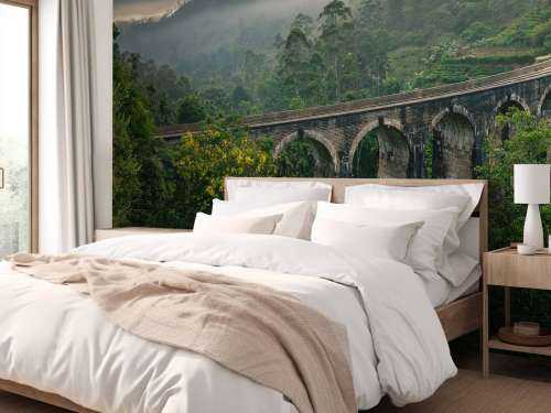 Railway bridge through jungle