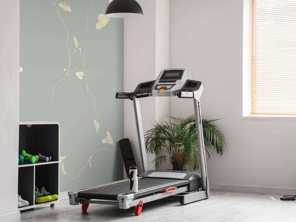 Grey hedgerow grey green