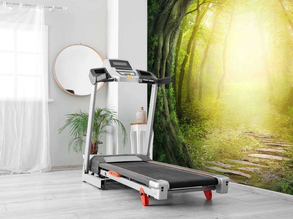 Stone path through forest