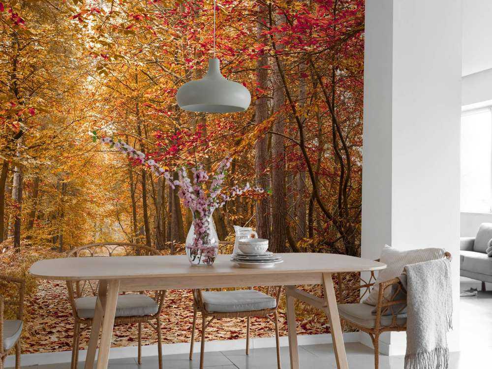 Pathway through Autumn forest