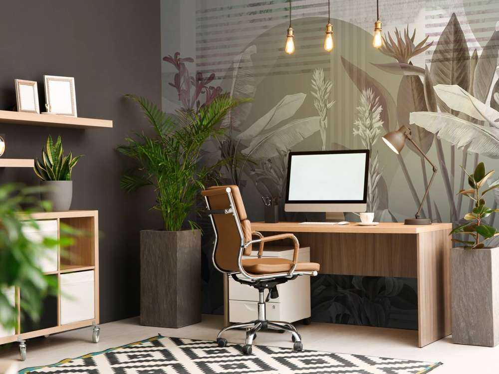 Dreams and Tropics 2