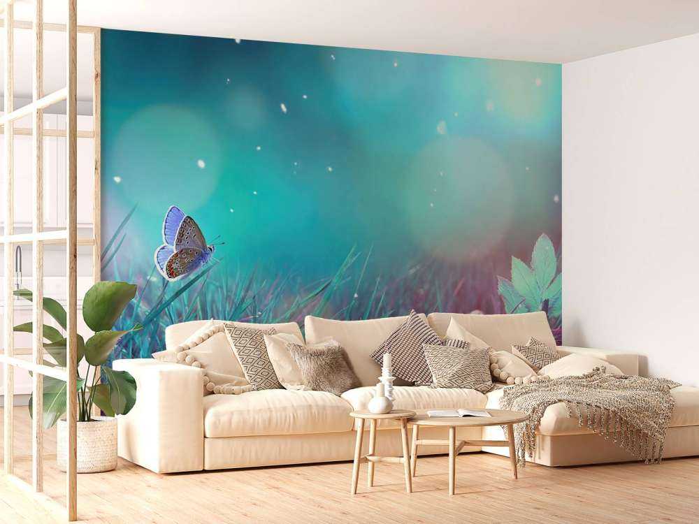 Butterfly in the morning dew