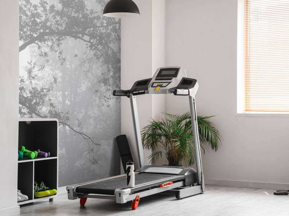 Beautiful forest in the fog