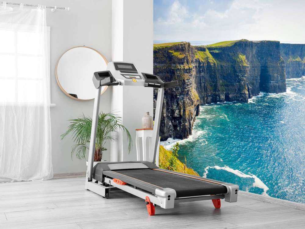 Cliff along the coast