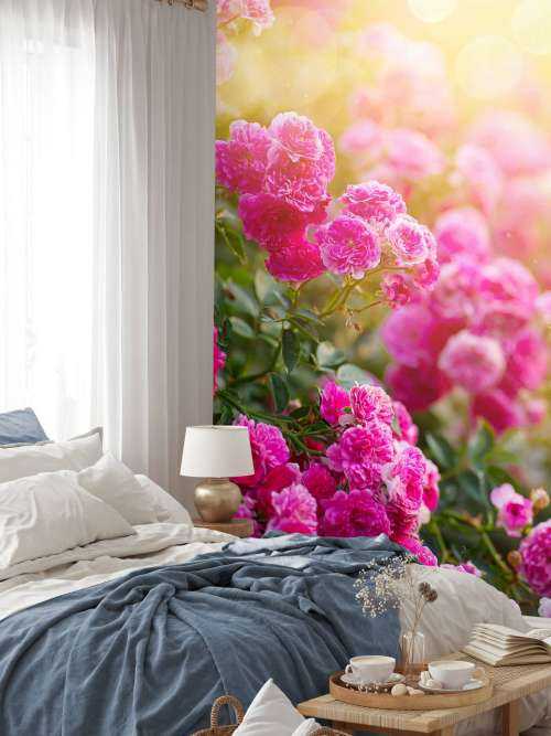 Pink rose bushes