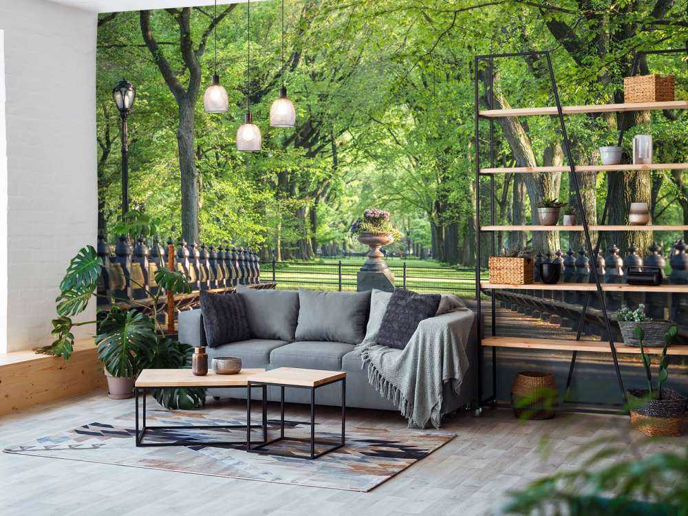 Path in Central Park