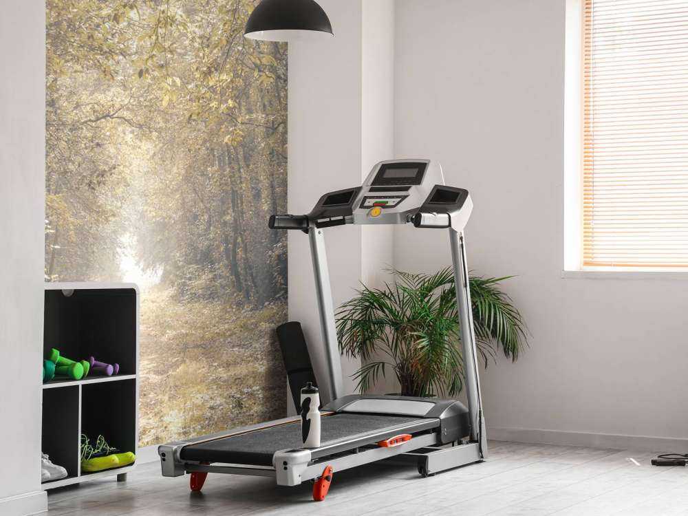 Path through a deserted forest