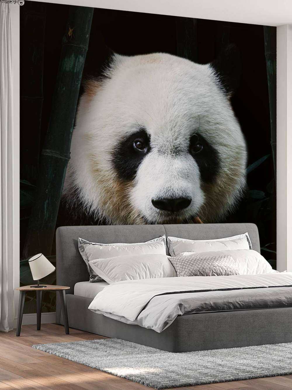 Panda Portrait