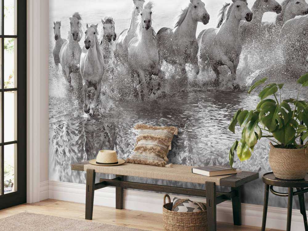 Illusion of power (13 horse power though)