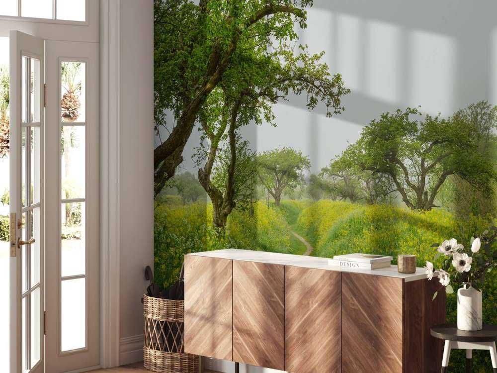 Path through hills with yellow flowers