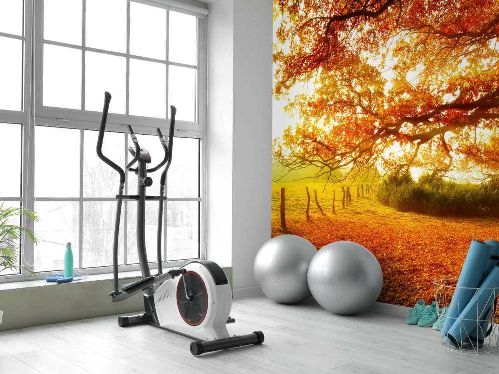 Autumn landscape with forest and meadow