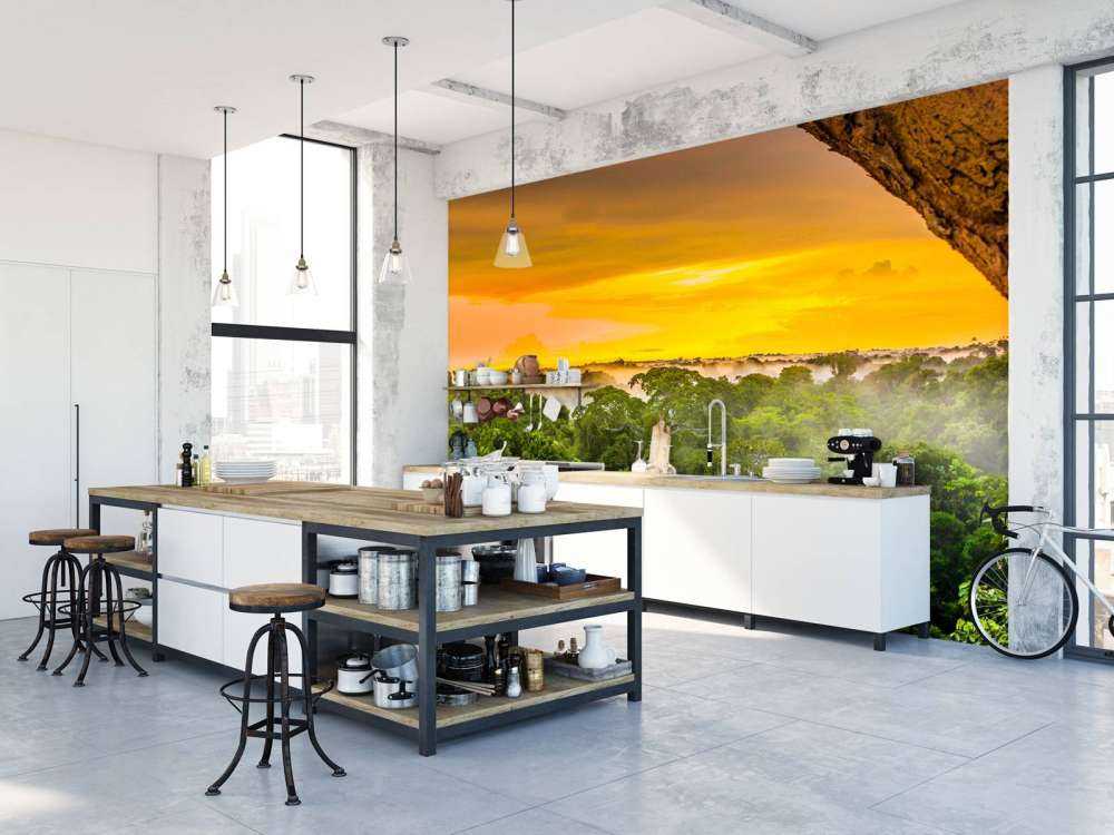 Rainforest in Brazil 