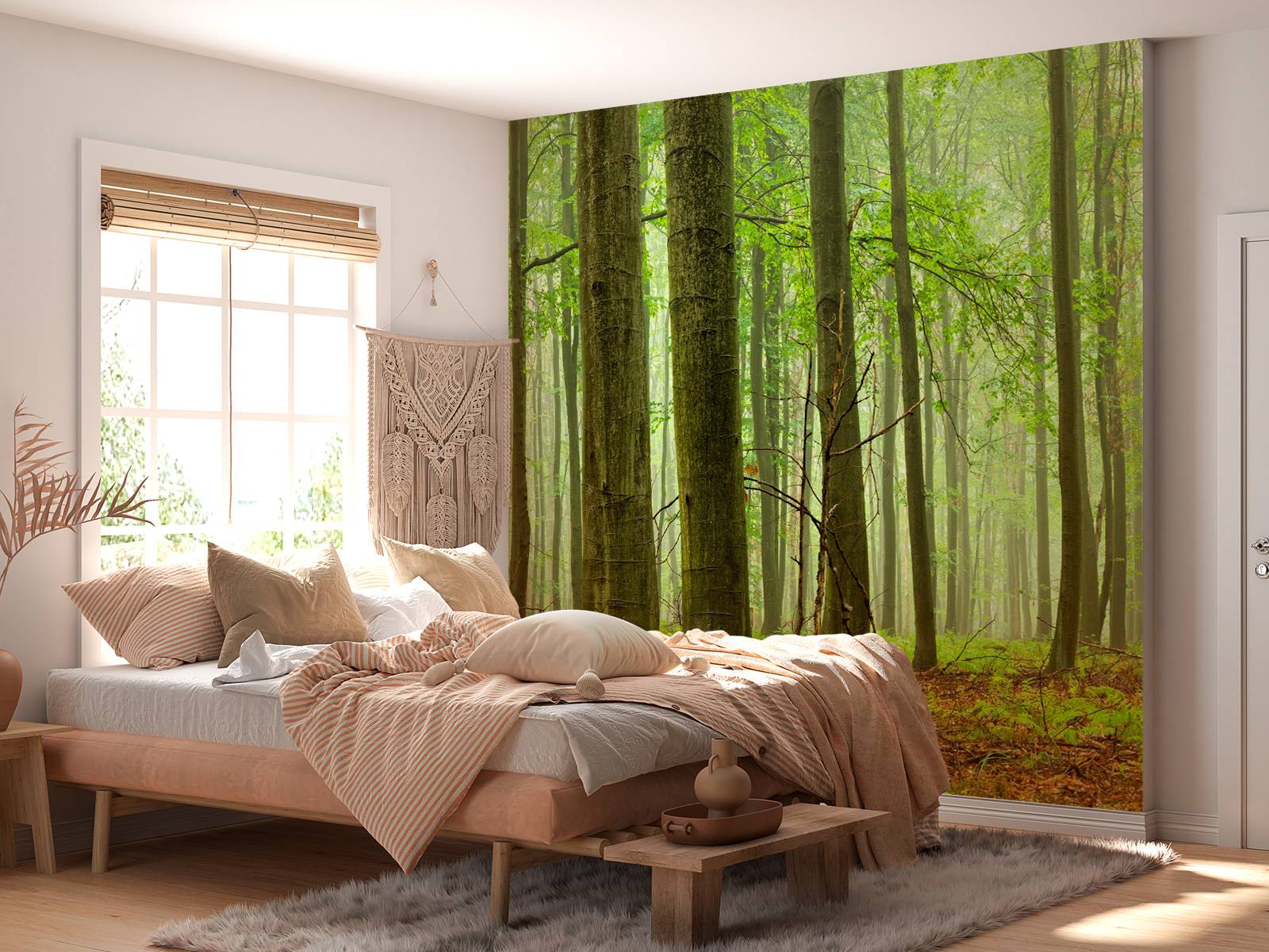 Forest of beech trees