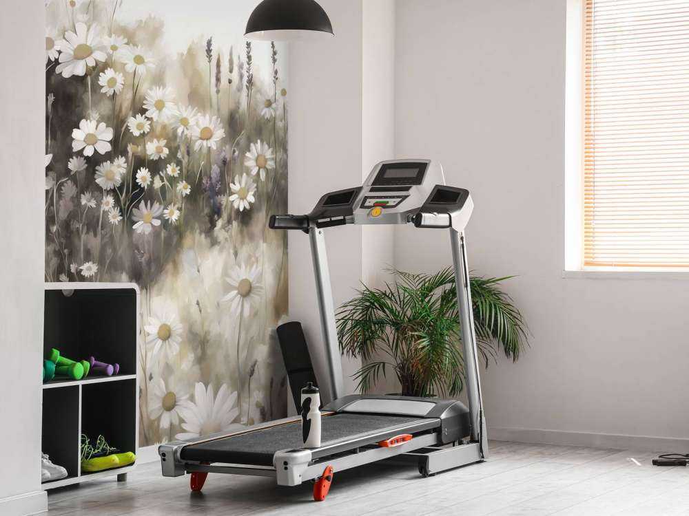 Quiet Daisies Meadow Cream