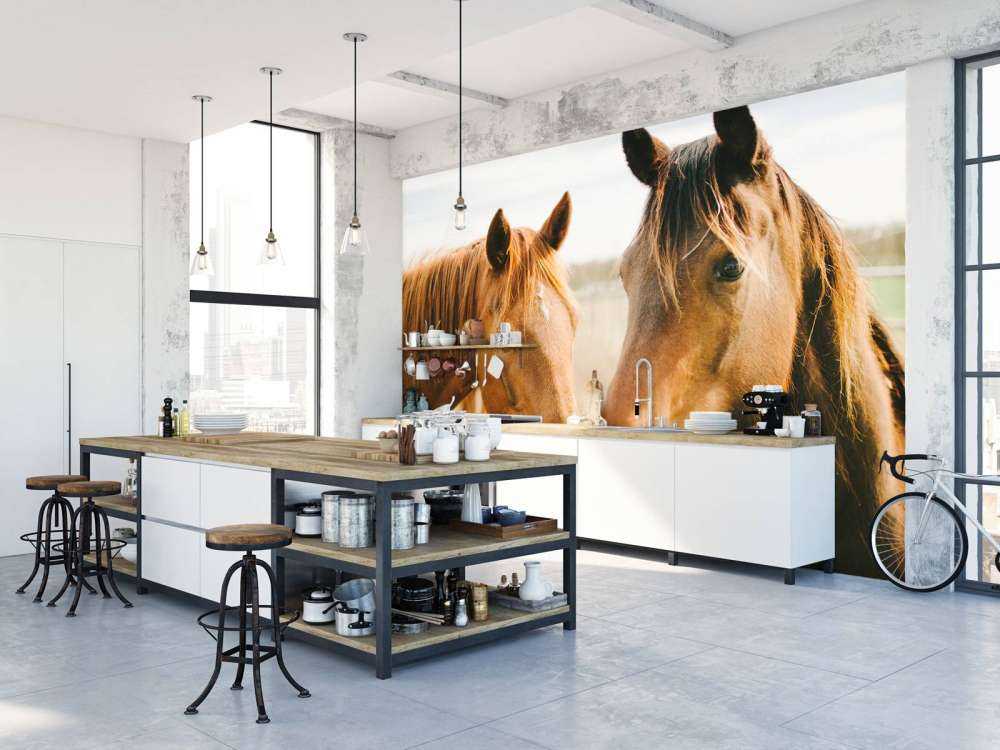 Two horses