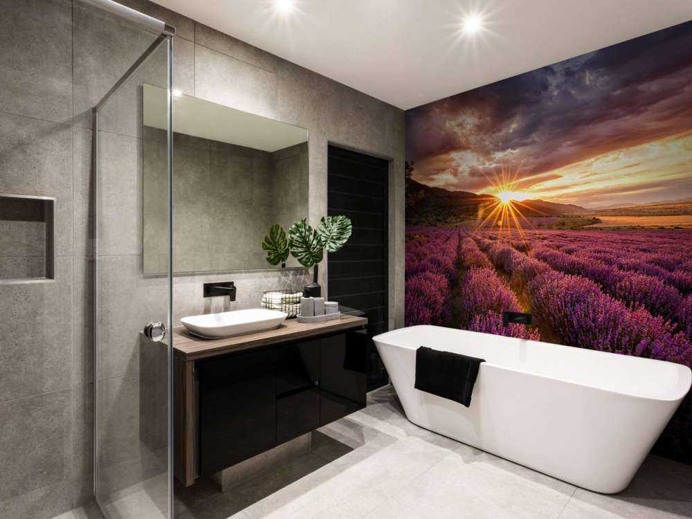 Lavender under the sun