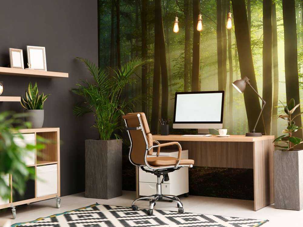 Morning sun among the trees