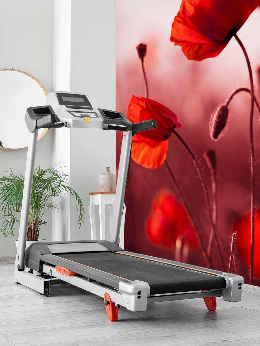 Poppies in the meadow