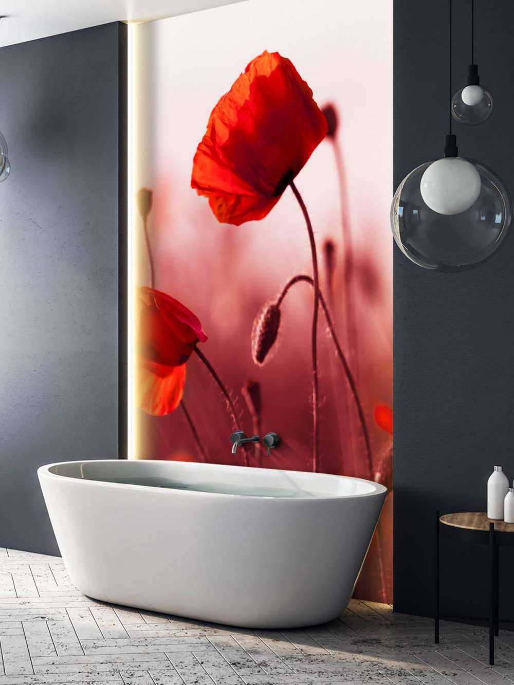 Poppies in the meadow