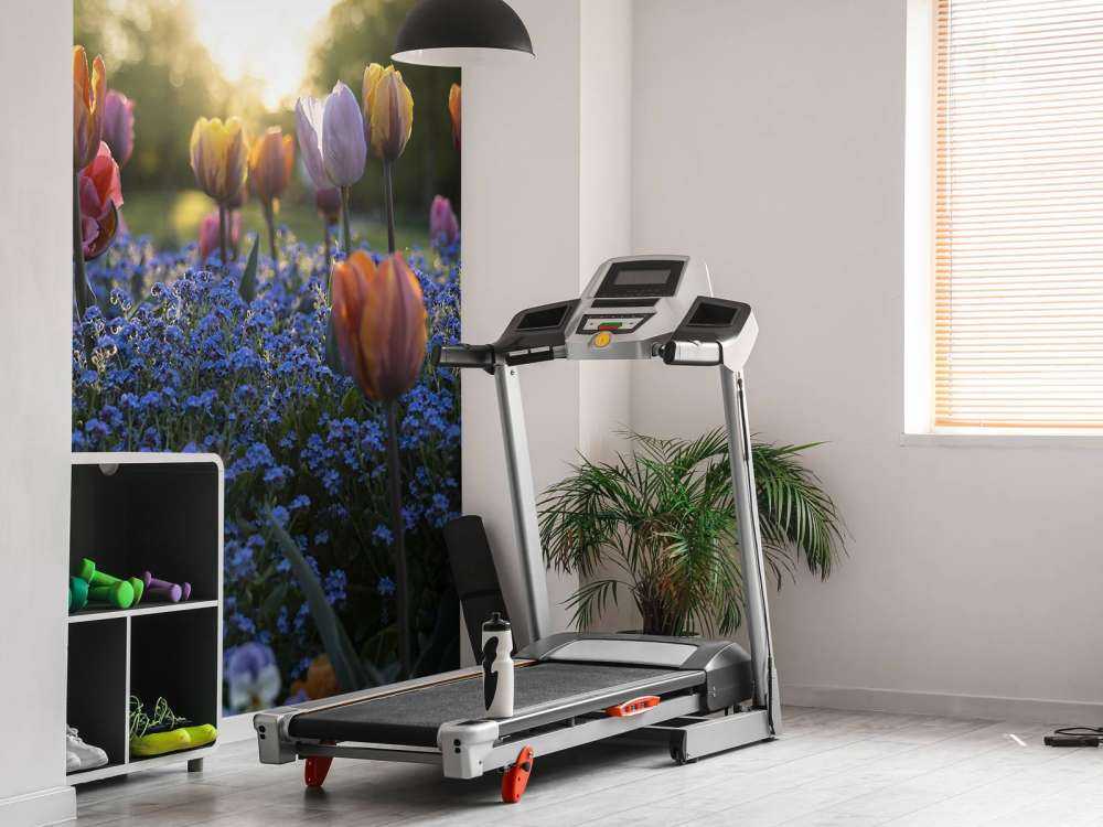 Cheerful tulip field