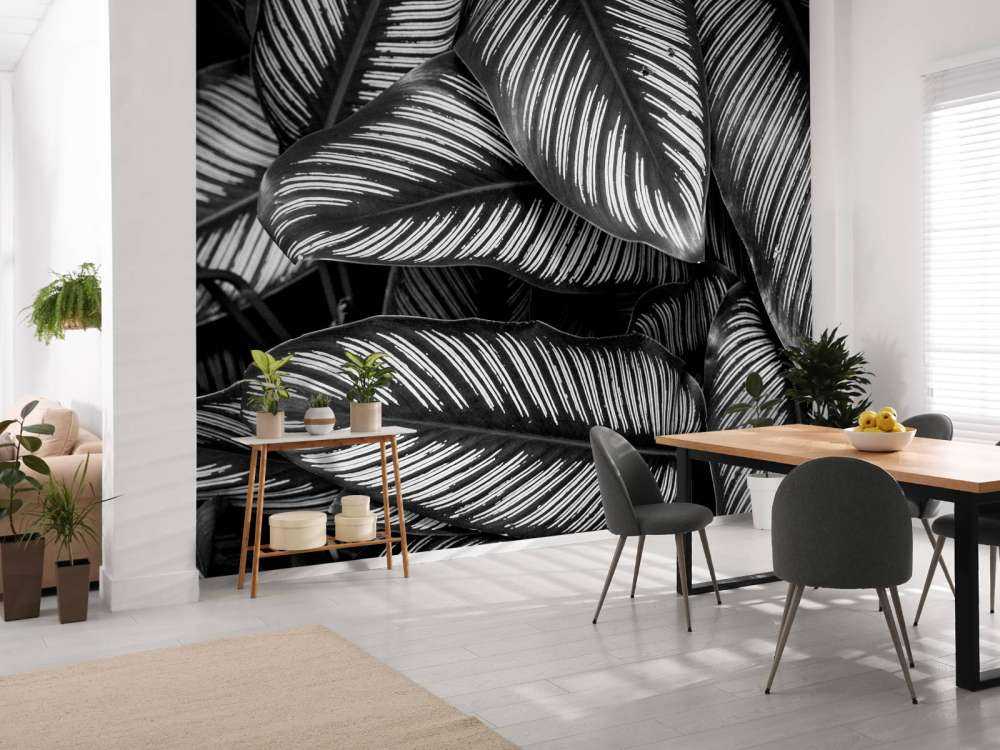 Black and white palm leaves